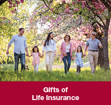 A family. Gifts of Life Insurance Rollover